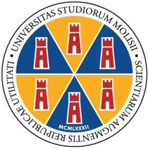 logo UNIVERSIT&Agrave; DEGLI STUDI DEL MOLISE